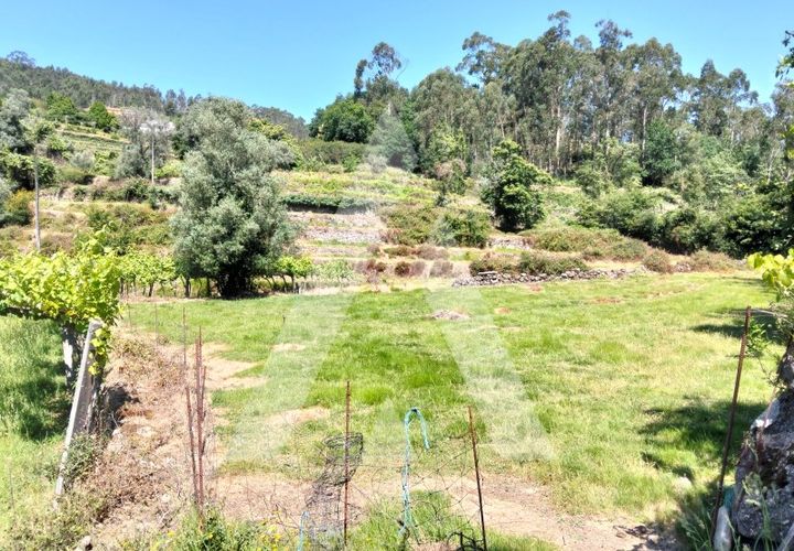 Helårsgrund i Ponte de Lima, Viana do Castelo, Ponte de Lima - € 87.500 | Ref: 1350317/26VC - foto 1