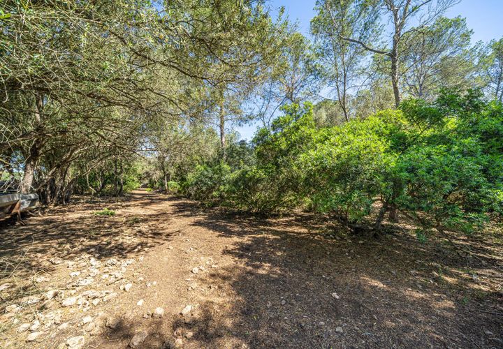 Helårsgrund i Sencelles, Mallorca, Sencelles - € 249.000 | Ref: 01BVKD188/3010 - foto 1