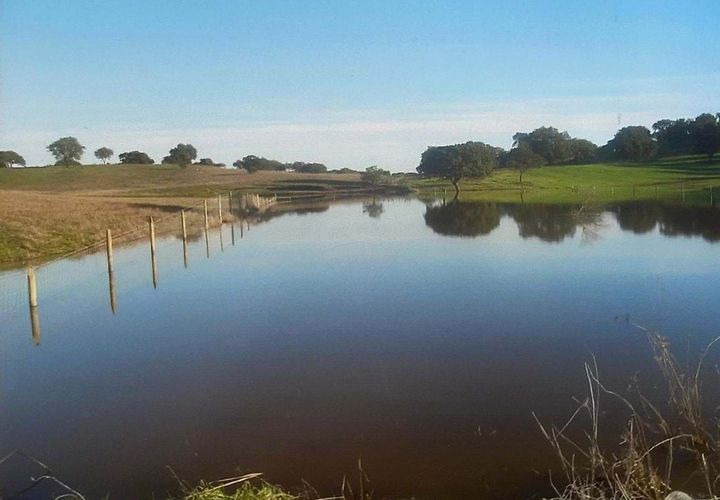 Farm hus i Almodovar, Beja, Almodovar - € 1.200.000 | Ref: 125921171-39 - foto 1