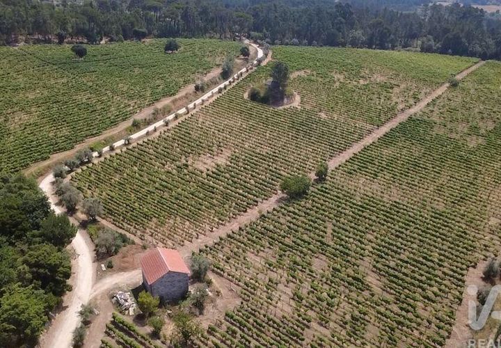 Granja a Nelas, Viseu, Nelas - € 690.000 | Ref: 950257 - foto 1