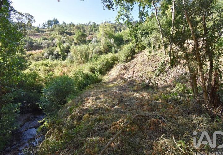 Terra a Penela, Coimbra, Penela - € 20.000 | Ref: 957522 - foto 1