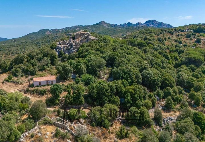 Terra a Tempio Pausania, Olbia Tempio, Tempio Pausania - € 560.000 | Ref: TEV-04-26 - foto 1