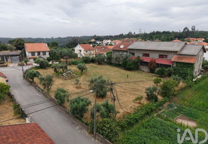 Terra a Carregal do Sal, Viseu, Carregal do Sal - € 140.000 | Ref: 943713 - foto 1