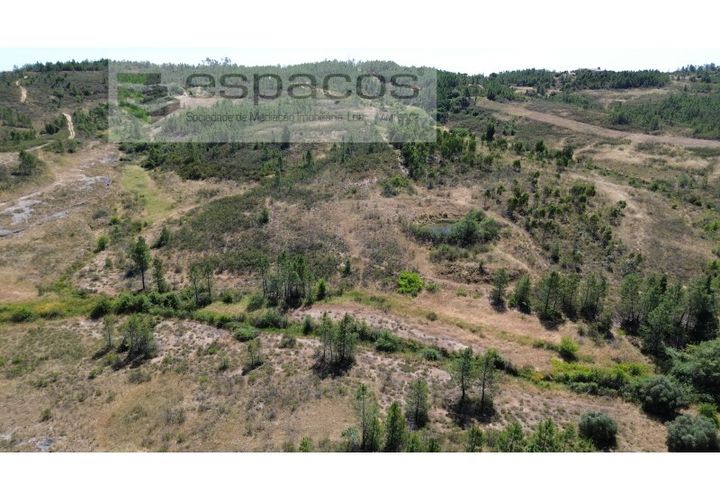 Terreno en Castelo Branco, Castelo Branco, Castelo Branco - € 44.000 | Ref: 5582/EG - photo 1