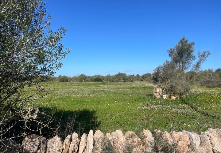 Helårsgrund i Campos, Mallorca, Campos - € 235.000 | Ref: SH-1800 - foto 1