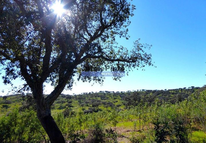 Helårsgrund i Portel, Evora, Portel - € 2.700.000 | Ref: 10001_Q - foto 1
