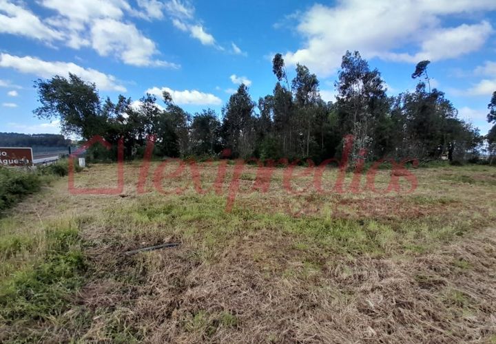 Helårsgrund i Agueda, Aveiro, Agueda - € 60.000 | Ref: AG 4386 - foto 1