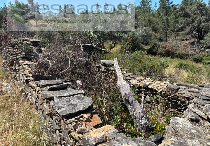 Grond in Castelo Branco, Castelo Branco, Castelo Branco - € 6.000 | Ref: 5561/AC-FA - foto 1