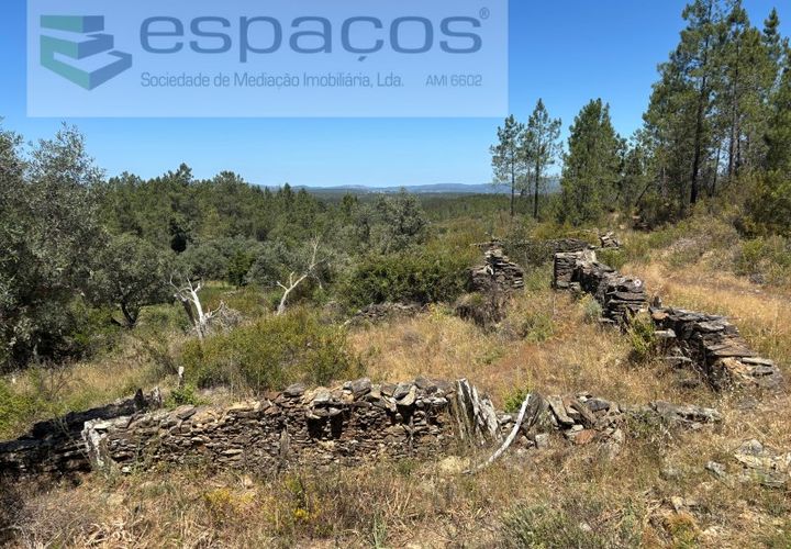 Terreno en Castelo Branco, Castelo Branco, Castelo Branco - € 6.000 | Ref: 5561/AC-FA - photo 1