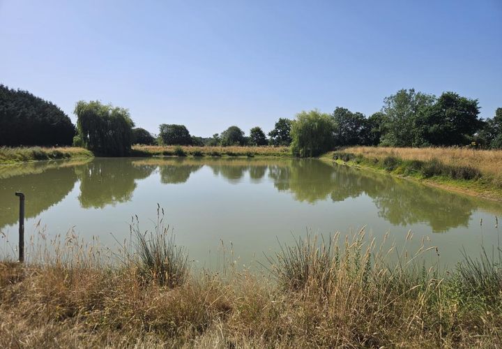 Tomt i Pannecé, Loire-Atlantique, Pannecé - € 43 500 | Ref: 103_CPT-0026526 - foto 1