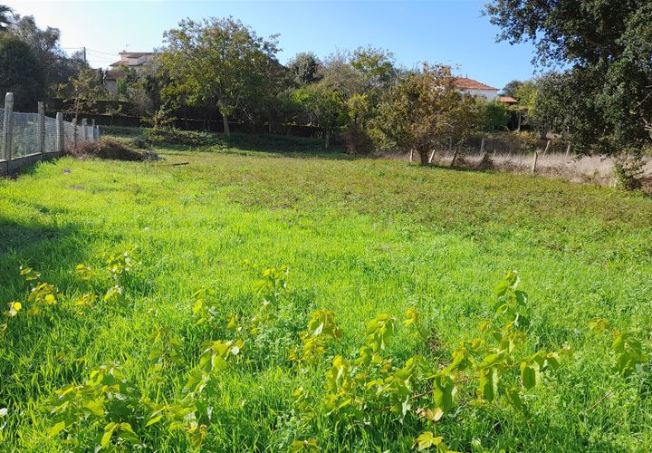 Helårsgrund i Caminha, Viana do Castelo, Caminha - € 90.000 | Ref: L-08/6735 - foto 1