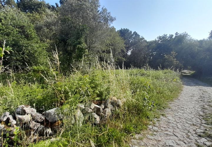 Helårsgrund i Viana do Castelo, Viana do Castelo, Viana do Castelo - € 102.000 | Ref: L-08/6776 - foto 1
