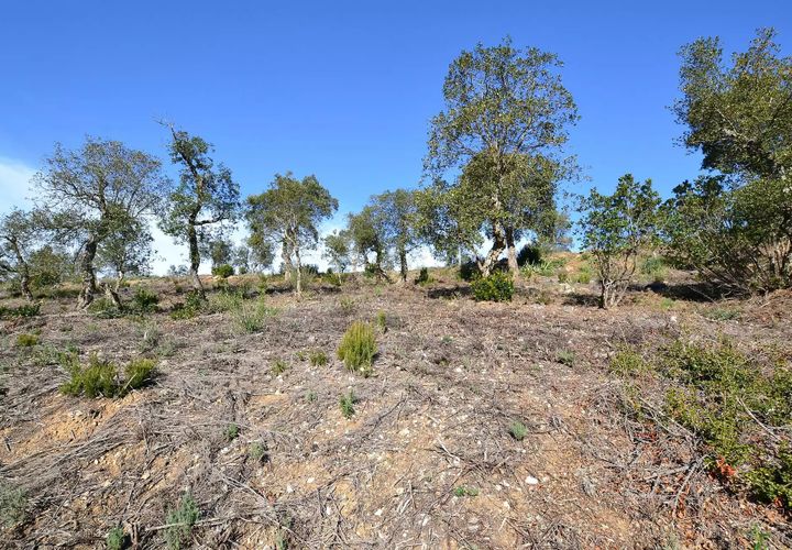 Helårsgrund i Calonge, Gerona, Calonge - € 90.000 | Ref: RDOP-357 - foto 1