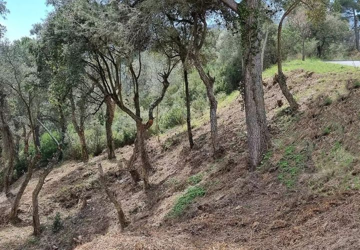 Helårsgrund i Calonge, Gerona, Calonge - € 90.000 | Ref: RDOP-394 - foto 1