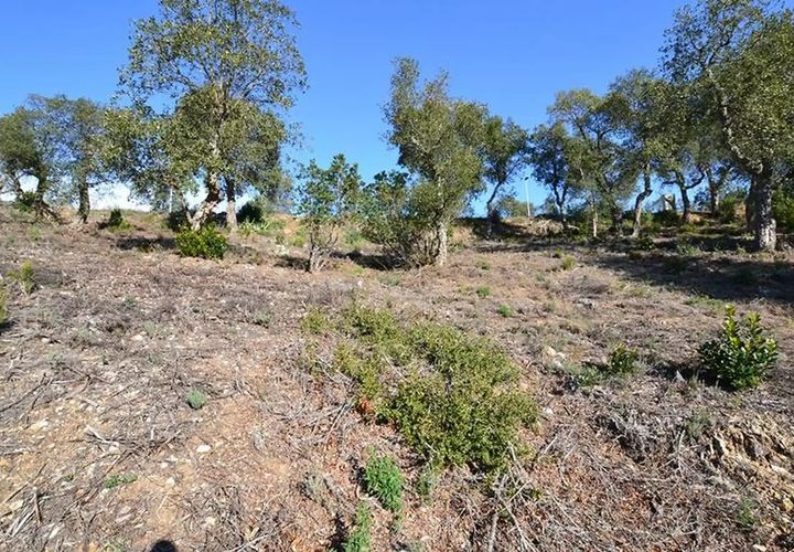 Terra em Calonge, Gerona, Calonge - € 105.000 | Ref: RDOP-358 - foto 1