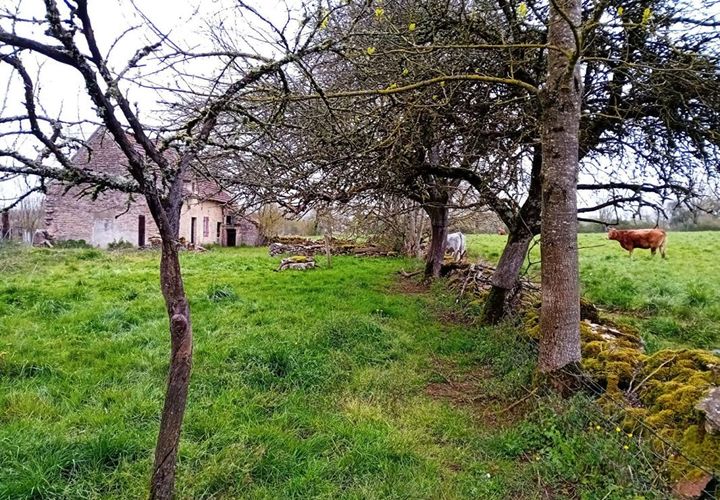 Villa a Beauregard, Lot, Beauregard - € 65.000 | Ref: 445918NTK - foto 1