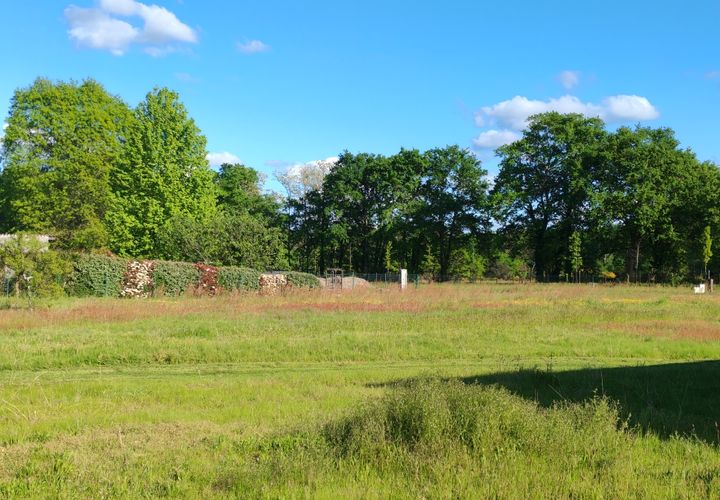 Terra a Hinx, Landes, Hinx - € 90.000 | Ref: 455593PAMO - foto 1