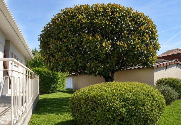 Villa a Lafrançaise, Tarn-et-Garonne, Lafrançaise - € 197.600 | Ref: 453870HST - foto 1