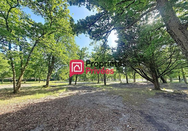 Terra a Hourtin, Gironde, Hourtin - € 235.000 | Ref: 435625PBON - foto 1