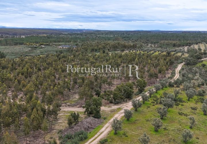 Terra a Gaviao, Portalegre, Gaviao - € 26.900 | Ref: FG644 - foto 1