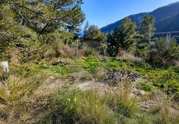 Terreno en Gorbio, Alpes-Maritimes, Gorbio - € 299.000 | Ref: D15899 - photo 1