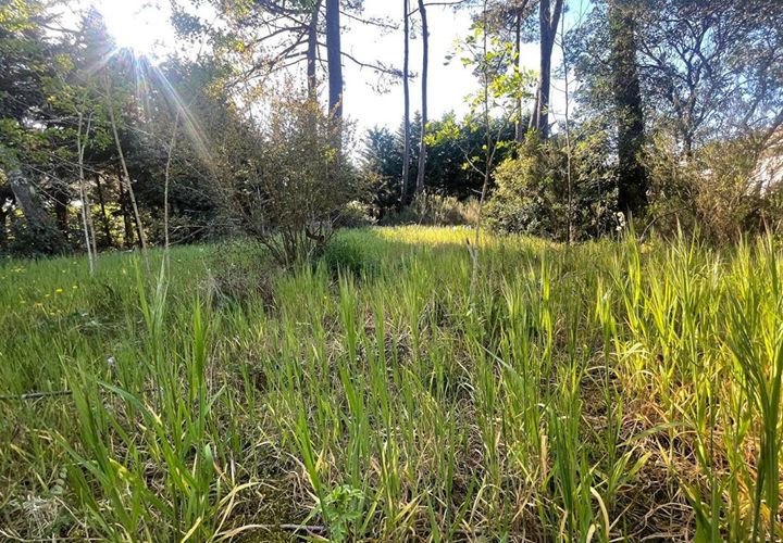 Terreno en Audenge, Gironde, Audenge - € 220.000 | Ref: 446397ARMB - photo 1