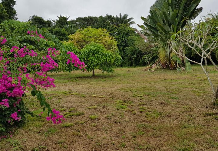 Villa en Macouria, French Guiana, Macouria - € 257.000 | Ref: 442778BIE - photo 1