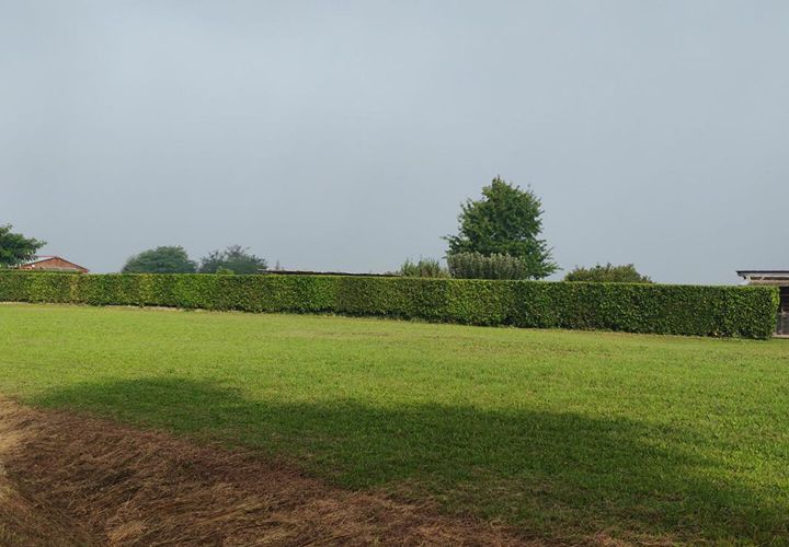 Helårsgrund i Hinx, Landes, Hinx - € 49.000 | Ref: 441605PAMO - foto 1