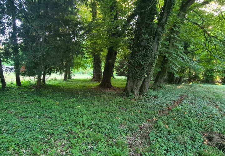 Helårsgrund i Dijon, Cote-d'Or, Dijon - € 400.000 | Ref: 2284 - foto 1