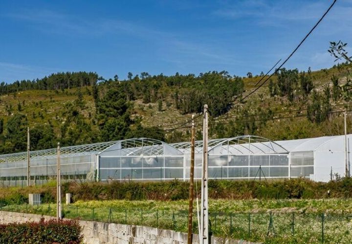 Terrain - Valenca, Viana do Castelo, Valenca - € 250 000 | Réf : 162475 - photo 1