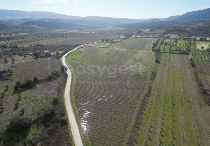 Grond in Torre de Moncorvo, Braganca, Torre de Moncorvo - € 236.000 | Ref: BG99521MG - foto 1