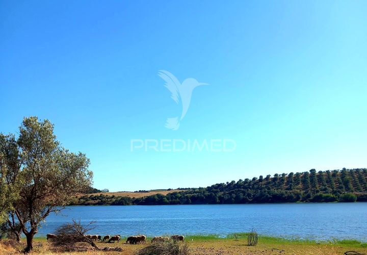Terra a Alandroal, Evora, Alandroal - € 65.000 | Ref: 061628 - foto 1