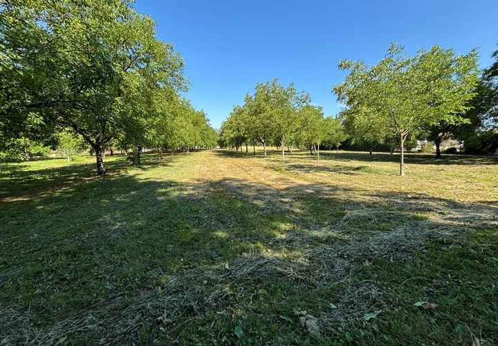 Terra a La Riviere, Isere, La Riviere - € 95.000 | Ref: SH-LOT5-LE-COTEAU - foto 1