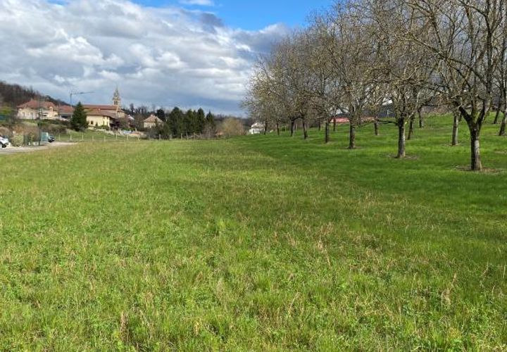 Tomt i Tullins, Isere, Tullins - € 117 000 | Ref: SH-TULLINS2306 - foto 1