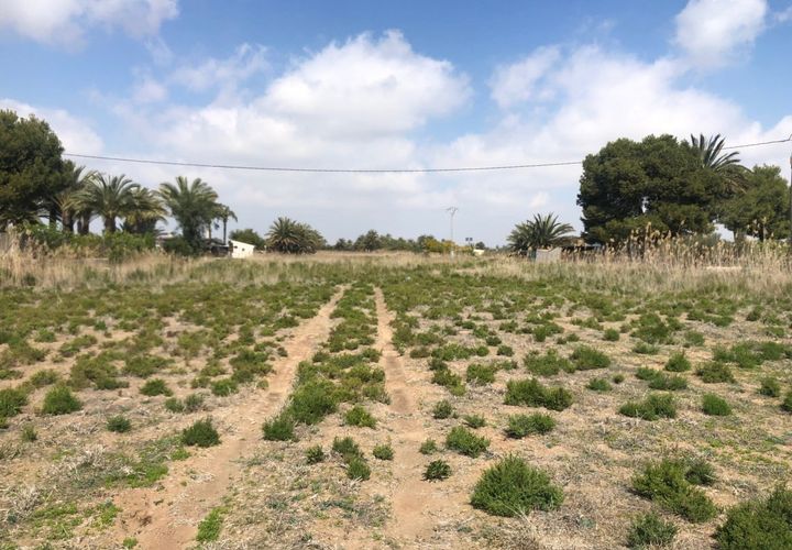 Landejendom i Elche, Alicante, Elche - € 85.000 | Ref: F60/3390 - foto 1