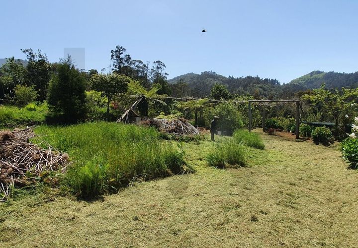 Helårsgrund i Santana, Madeira, Santana - € 220.000 | Ref: KWPT-035039 - foto 1