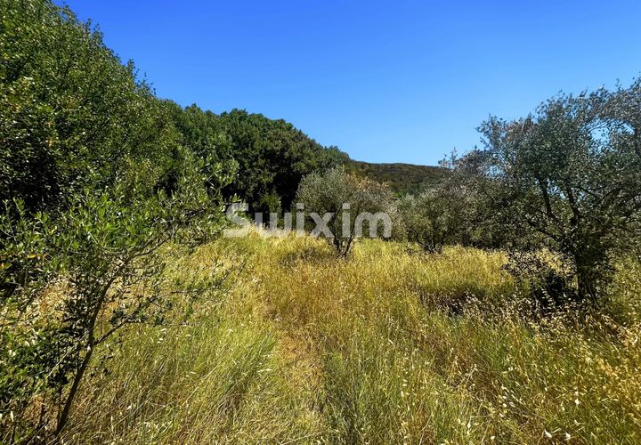 Tomt i Nyons, Drome, Nyons - € 130 000 | Ref: 2507FB - foto 1