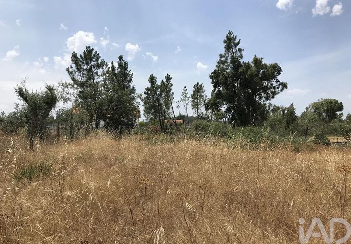 Grond in Ourem, Santarem, Ourem - € 39.950 | Ref: 962280 - foto 1