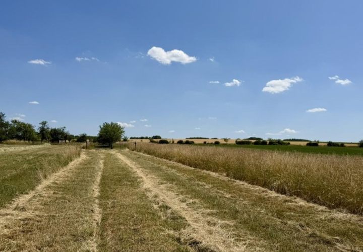 Grond in Haraucourt, Meurthe-et-Moselle, Haraucourt - € 36.000 | Ref: V762 - foto 1
