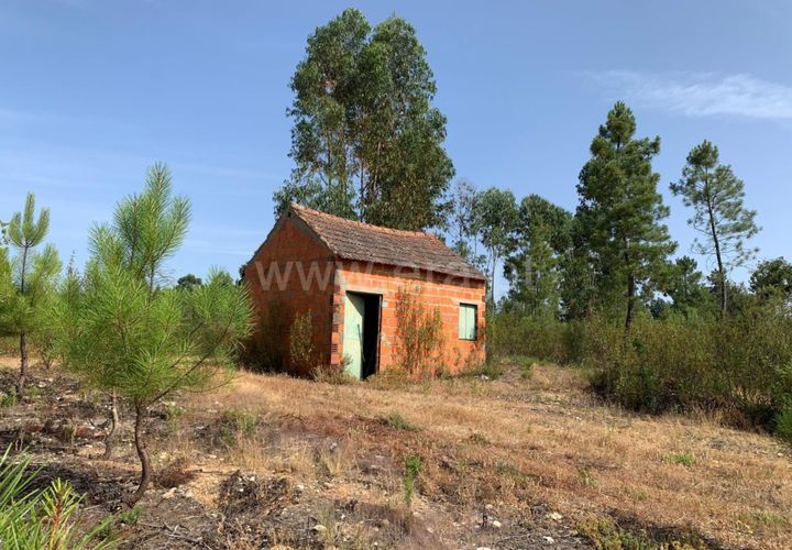 Herregård i Castelo Branco, Castelo Branco, Castelo Branco - € 30 000 | Ref: 102260128 - foto 1