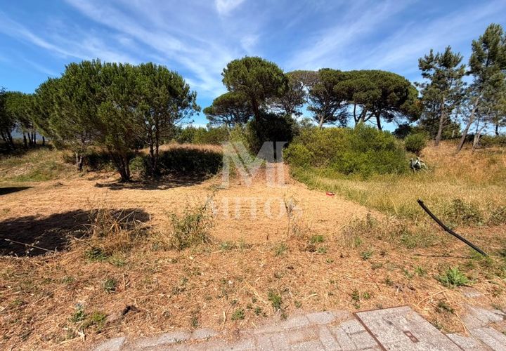 Terra em Darque, Viana do Castelo, Darque - € 65.000 | Ref: F969 - foto 1