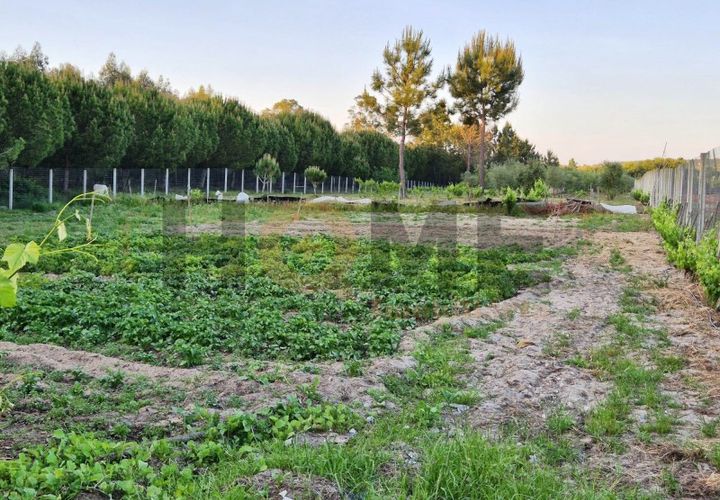 Helårsgrund i Benfica do Ribatejo, Santarem, Benfica do Ribatejo - € 115.000 | Ref: 100.001.912 - foto 1