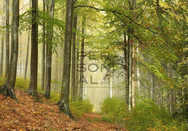 Grond in Cavedine, Trento, Cavedine - € 49.000 | Ref: T-AG-042 - foto 1