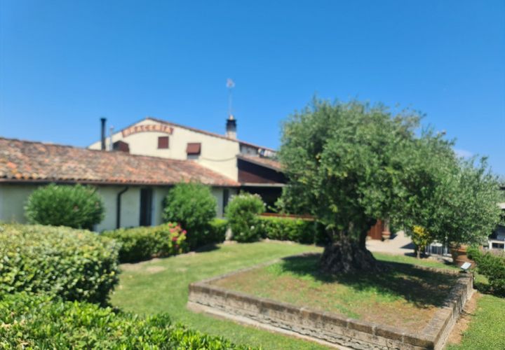 Propriedade comercial em Comacchio, Ferrara, Comacchio - € 1.800.000 | Ref: CHARLEROI RISTORANTE - foto 1
