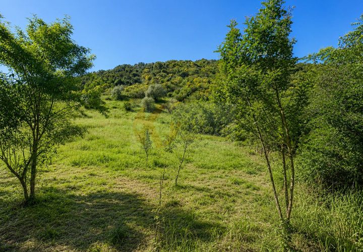 Terra a Codrongianos, Sassari, Codrongianos - € 27.000 | Ref: 14034 - foto 1