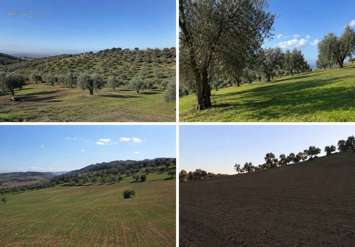 Helårsgrund i Tortoreto, Teramo, Tortoreto - € 85.000 | Ref: 34240 - foto 1