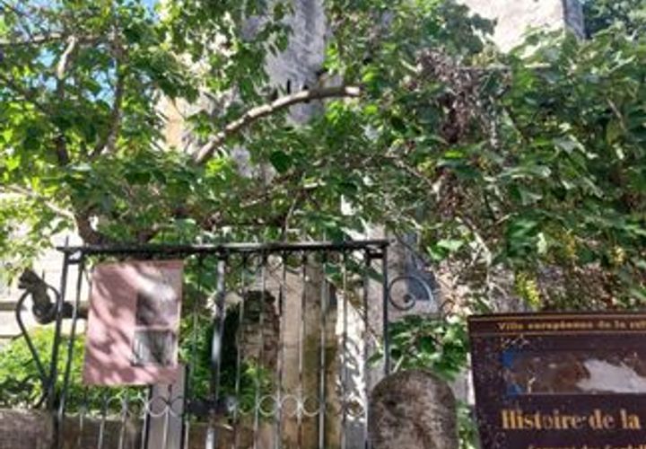 Estudi a Avignon, Vaucluse, Avignon - € 470/mes | Ref: 887807 - foto 1