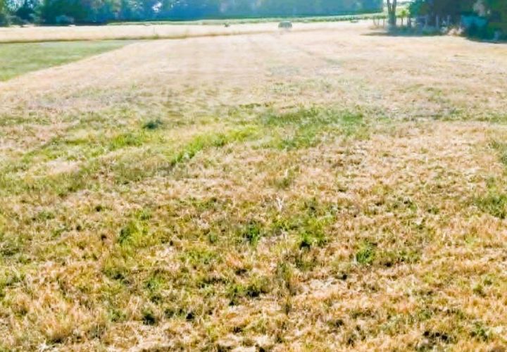 Terra a Eyrans, Gironde, Eyrans - € 50.000 | Ref: 3011444707 - foto 1