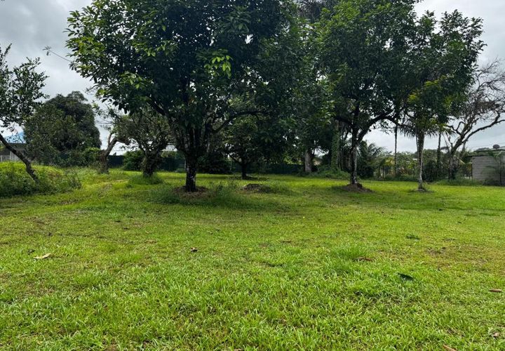 Grond in Matoury, French Guiana, Matoury - € 165.000 | Ref: 202174 - foto 1