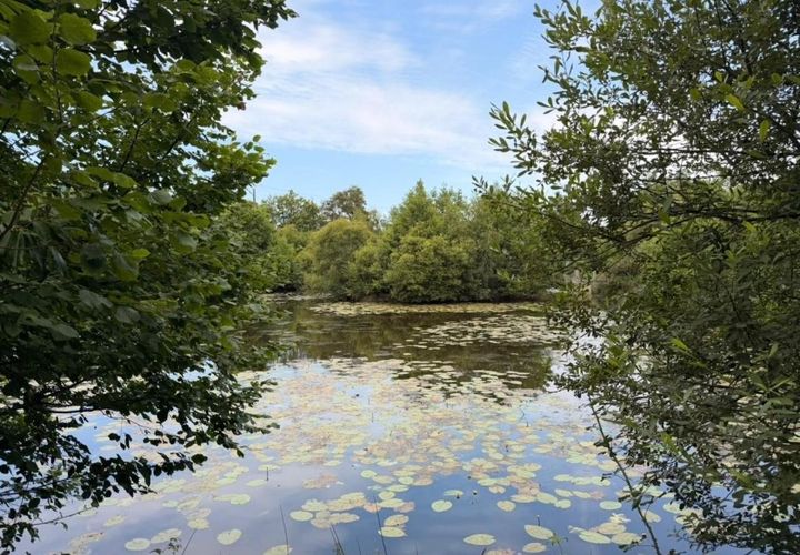 Helårsgrund i Saint-Congard, Morbihan, Saint-Congard - € 49.500 | Ref: 204820 - foto 1